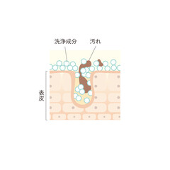 図版_肌図版_029_毛穴の汚れを落とす