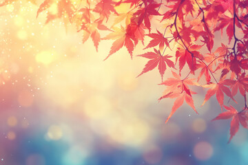 Fototapeta premium Red maple leaves in autumn sunlight