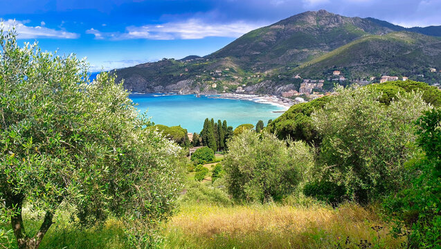Levanto panoramic view