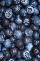 Fresh farm blueberries close-up. Texture of organic blueberries, top view