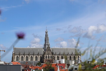 Fototapeta premium Sint Bavo vanaf De Dakkas 