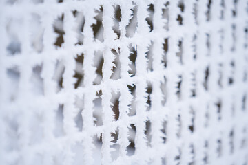 Oudoors fence covered with frost