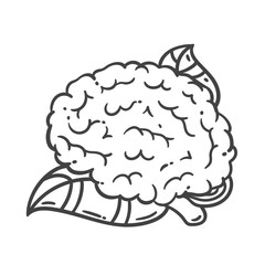 Brain plant with leaf growth line icon. Outline hand drawn brain growing with healthy nutrition and knowledge. Eco mindset, cognitive progress mascot, smart ideas development icon vector illustration