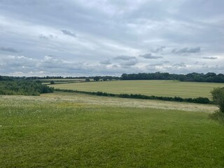 Naklejka premium landscape with clouds