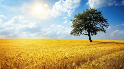 Fototapeta premium Lone Tree in a Vast Golden Wheat Field under a Bright Summer Sky with Sunlight and Scattered Clouds