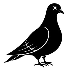 Pigeon Bird Black silhouette vector illustration isolated on a transparent background