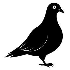 Pigeon Bird Black silhouette vector illustration isolated on a transparent background