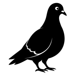 Pigeon Bird Black silhouette vector illustration isolated on a transparent background