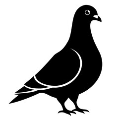 Pigeon Bird Black silhouette vector illustration isolated on a transparent background