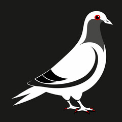 Pigeon Bird Black silhouette vector illustration isolated on a transparent background