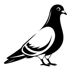Pigeon Bird Black silhouette vector illustration isolated on a transparent background
