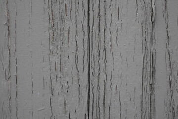 Obraz premium old wood texture. grey grunge backdrop. cracked wooden panels 