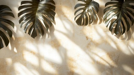 The shadows of monstera leaves reflecting on a light-colored wall create a simple and beautiful natural pattern.