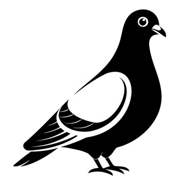 black pigeon standing side view clip art preview