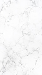 Fototapeta premium Elegant white marble texture with subtle gray veins