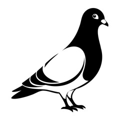Pigeon Bird Black silhouette vector illustration isolated on a transparent background