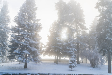 Park in the top of the mountain in winter