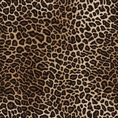 leopard texture real cat spots dark background stylish design