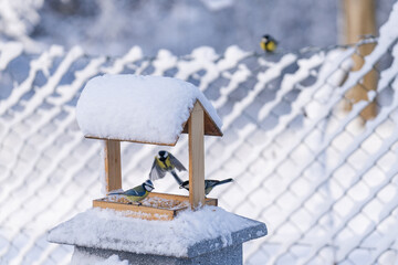 Outdoor feeder for winter feeding of wild birds