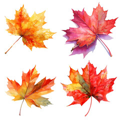 Fototapeta premium Watercolor painting set Colorful maple leaves in autumn 