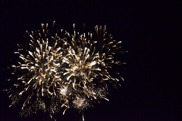 fireworks in the night sky