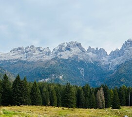 View of the mountains behind the forest