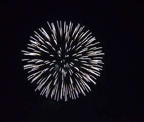 fireworks in the night sky