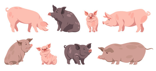 Cartoon pig. Little farm animal sitting isolated, cute baby pet in playful pose. Adorable livestock poster design with a cheerful expression for children s room. Vector illustration