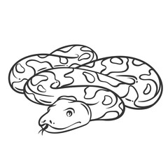 Python snake line icon. Outline hand drawn Pythonidae serpent reptile, sketch of predator. Nature, wildlife, animal mascot, simple nonvenomous snake with camouflage spots icon vector illustration