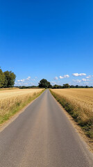 Fototapeta premium serene rural road stretches through golden fields under clear blue sky, evoking sense of tranquility and open space.