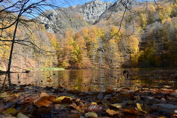 Beautiful mountain lake