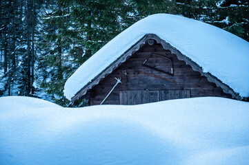 Julian Alps immersed in snow. Riofreddo Valley, wild and magical