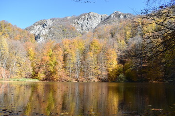Beautiful mountain lake