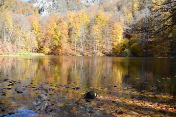 Fototapeta premium Beautiful mountain lake