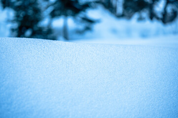 Julian Alps immersed in snow. Riofreddo Valley, wild and magical