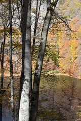 Beautiful mountain lake