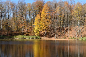 Beautiful mountain lake