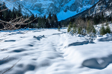 Julian Alps immersed in snow. Riofreddo Valley, wild and magical