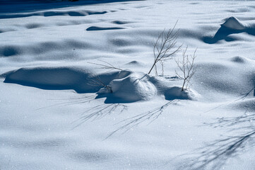 Julian Alps immersed in snow. Riofreddo Valley, wild and magical