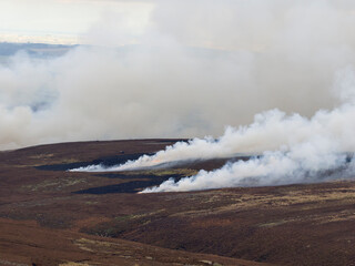 Heather burning
