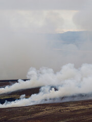 Heather burning