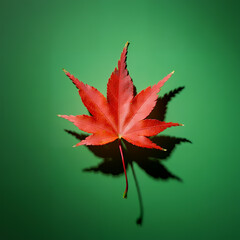 Single Red Maple Leaf on Green Background