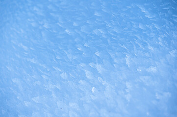 Julian Alps immersed in snow. Riofreddo Valley, wild and magical