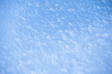 Julian Alps immersed in snow. Riofreddo Valley, wild and magical