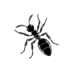 Ant silhouette vector art design