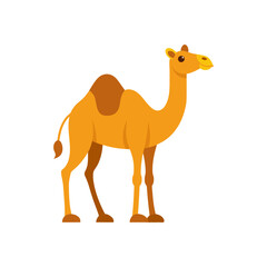 Camel vector art design on white background