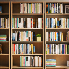 study room or library background with book shelf