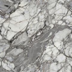 Fototapeta premium Elegant Marble Texture with White and Gray Veins