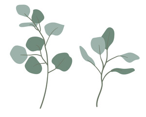 Green eucalyptus branches. Vector illustration of branches in flat minimalistic style. Clipart for invitations, weddings, cards, banners, websites.