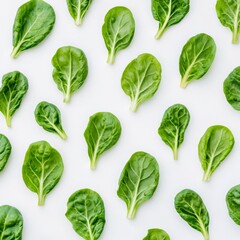 Obraz premium Fresh green spinach leaves arranged on a white background.